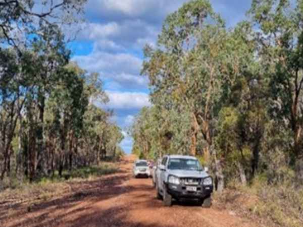 Spring 2021 Newsletter – Issue #15