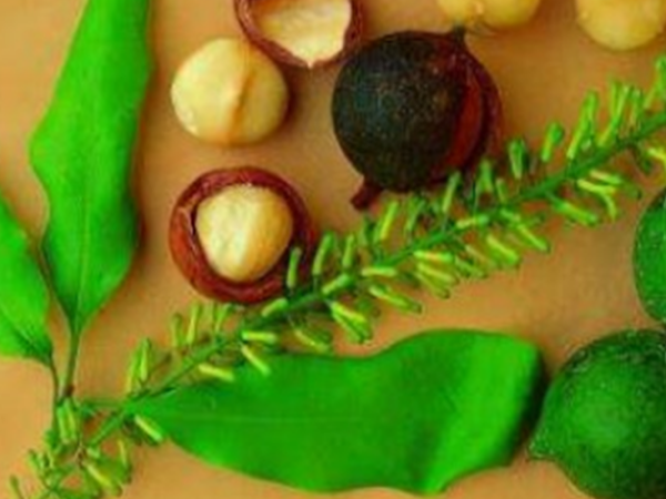 Summer 2022 Newsletter – Issue #16