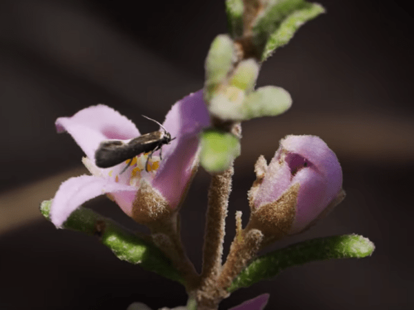 Spring 2024 Newsletter – Issue #25