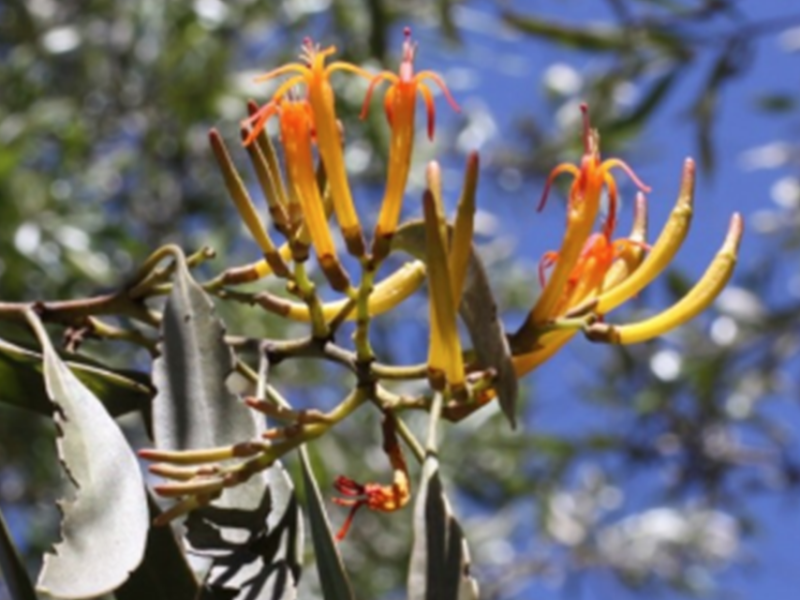 Winter 2023 Newsletter – Issue #22