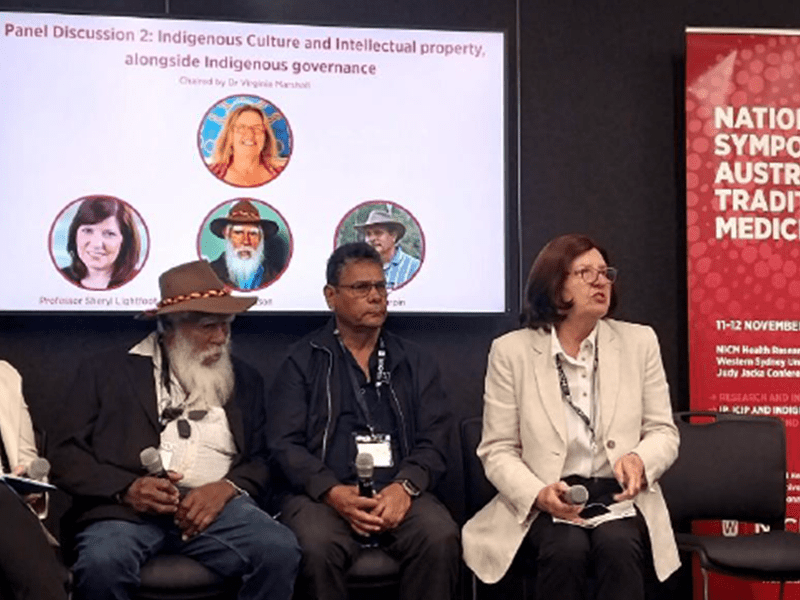 Late summer 2025 newsletter – Issue #26