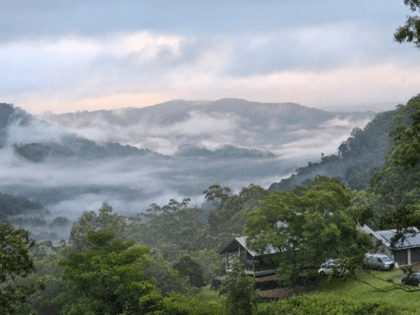 May 2026 Bush Fruit Field Day – Mapleton, QLD